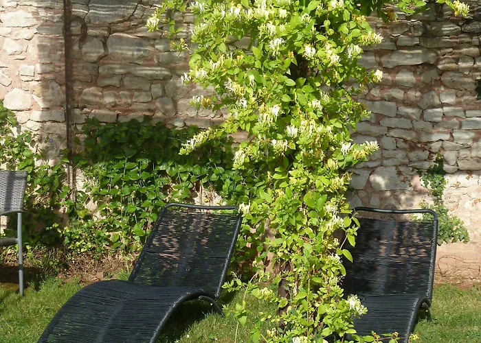 Chateau De Clusors Отель типа 