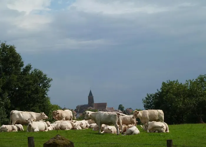 Chateau De Clusors Frühstückspension